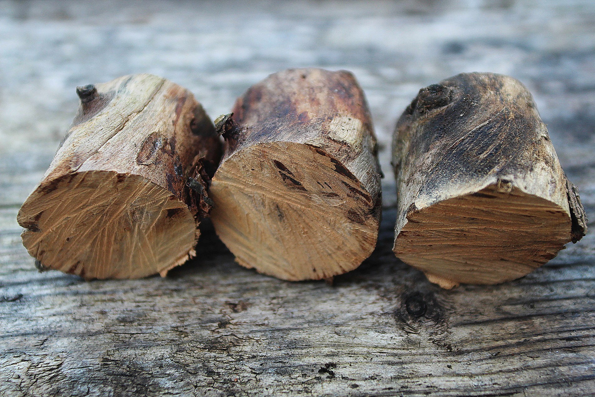 Noce americano Weber FUMARE trucioli di legno