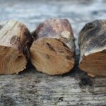 La lista definitiva dei legni per affumicare